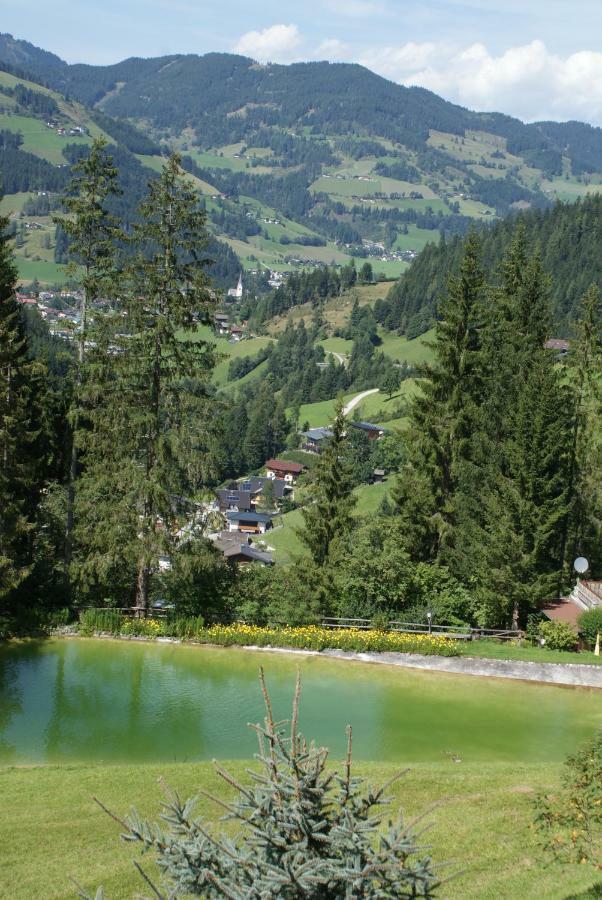 Pension Chalet Bergseegut Wagrain Exterior photo