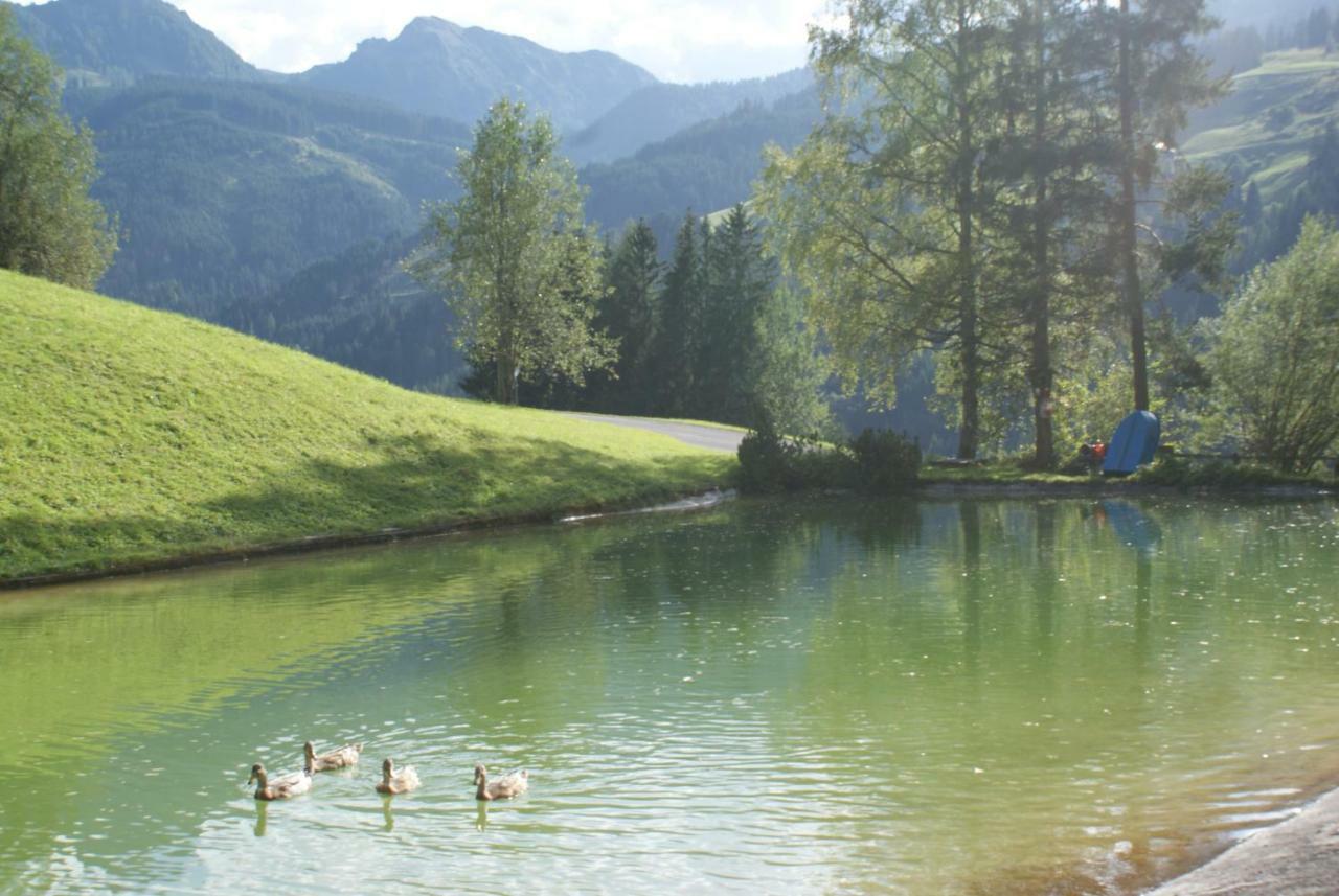 Pension Chalet Bergseegut Wagrain Exterior photo
