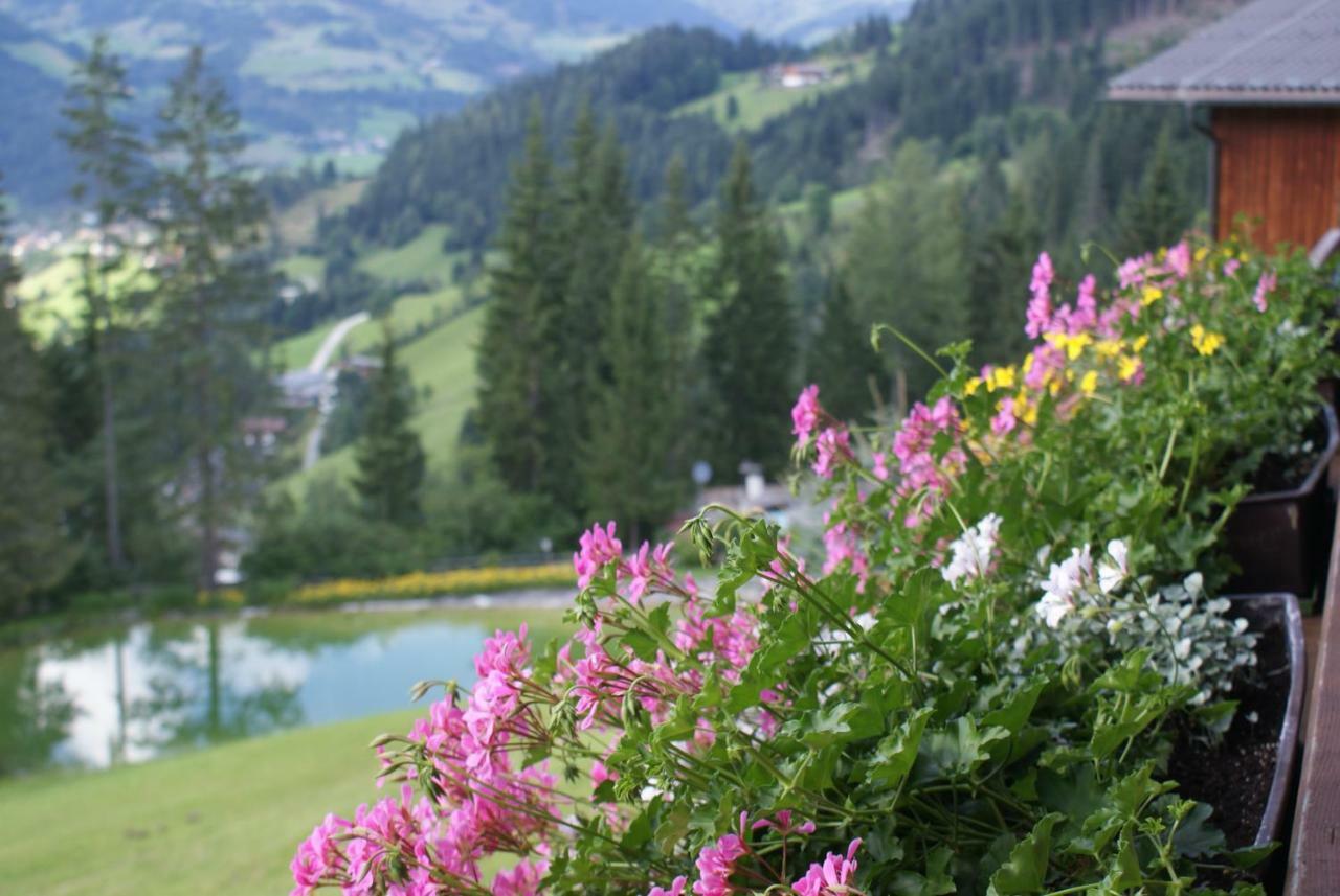 Pension Chalet Bergseegut Wagrain Exterior photo