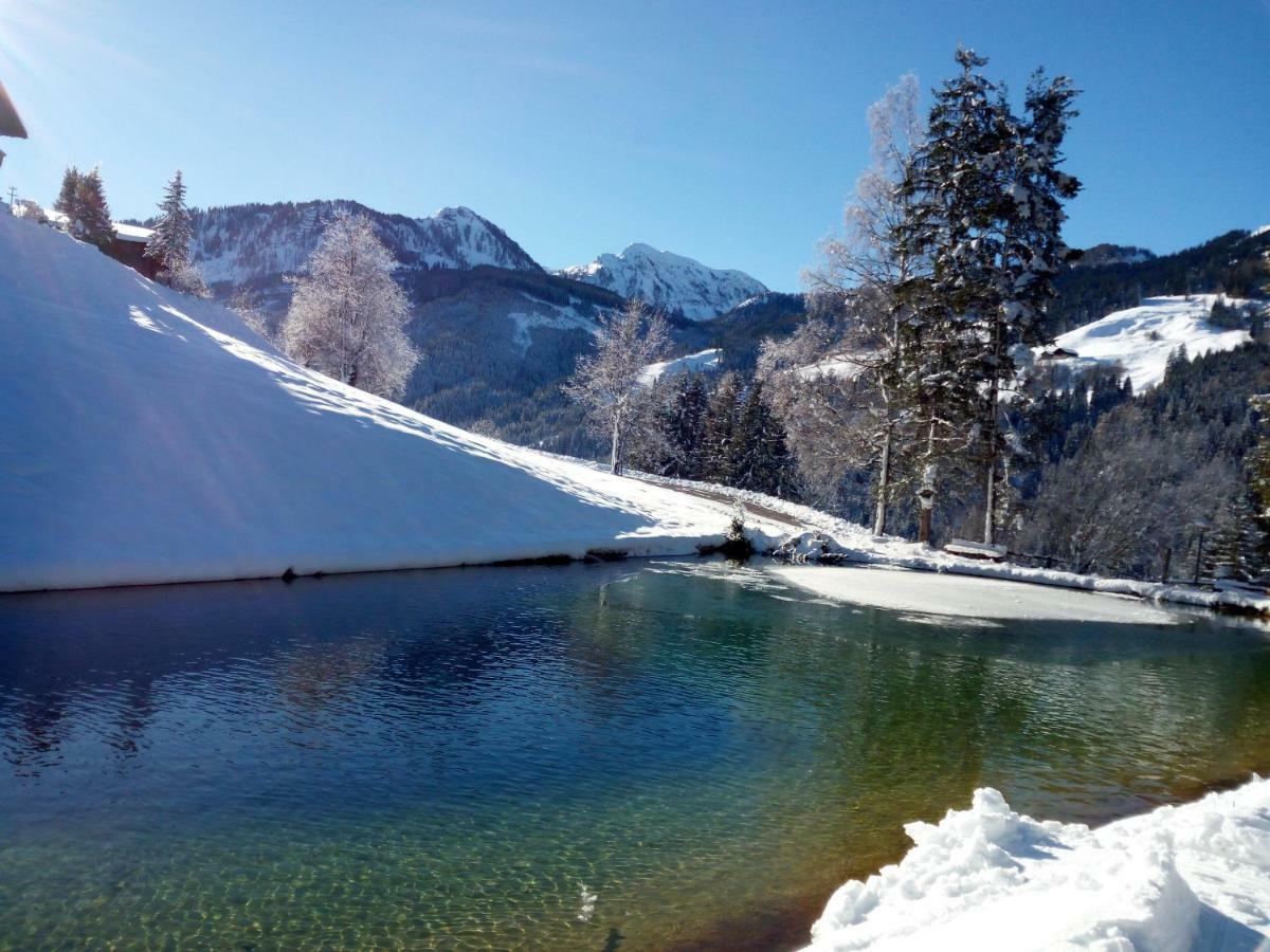 Pension Chalet Bergseegut Wagrain Exterior photo